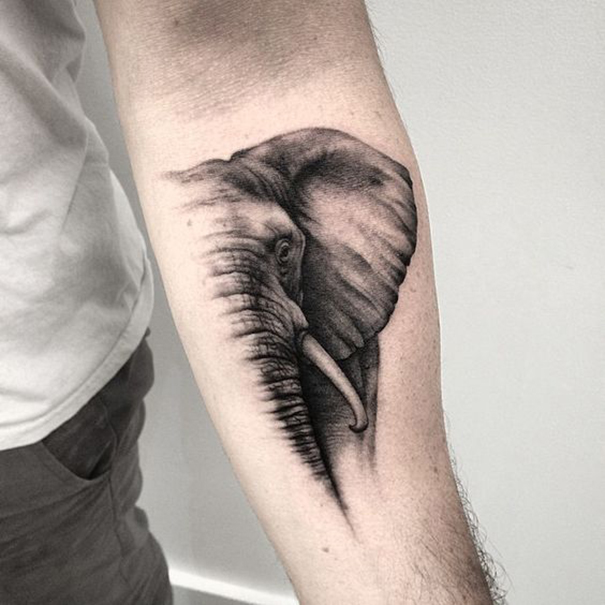 tatuagem de elefante no braço 