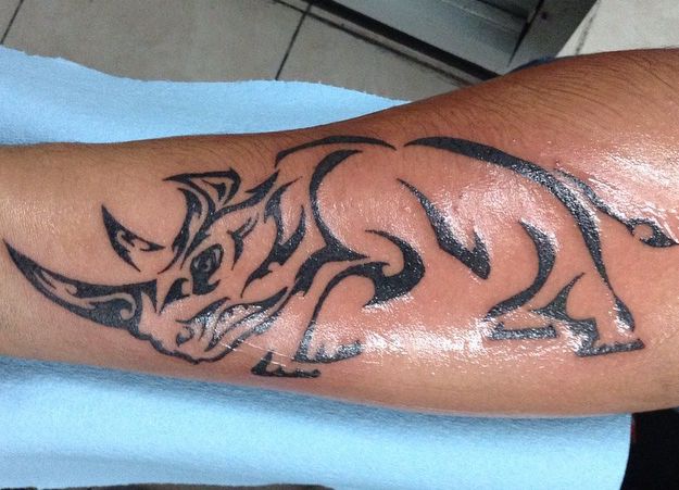 Projeto tribal do tatuagem do rinoceronte no antebraço 