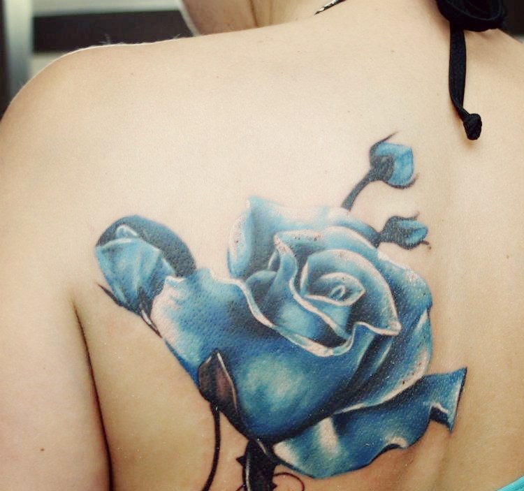 tatuagens de flores-mão-opções-rosa-azul 