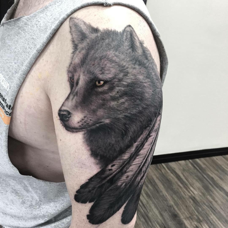 lobo tatuagens-penas-opções 