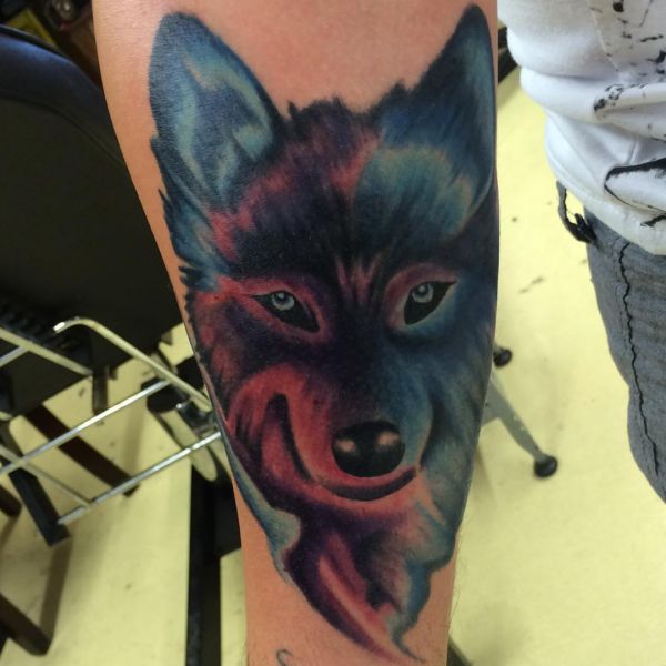 Tatuagem de cabeça de lobo colorido no braço 