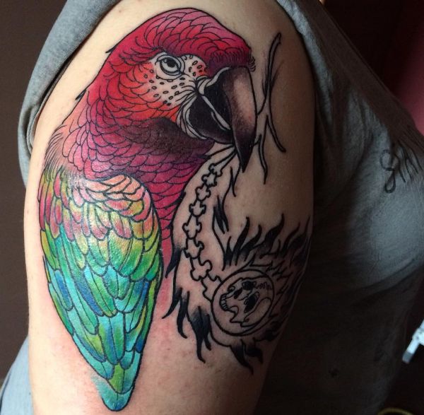 Tatuagem de papagaio na mulher de braço 