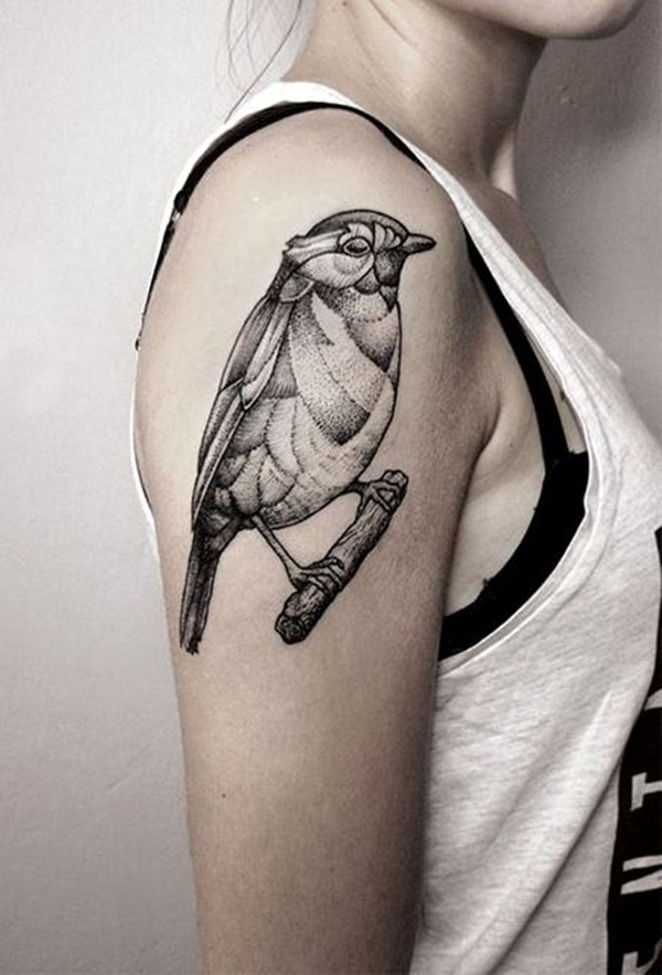 desenho de tatuagem de pássaro (24) 