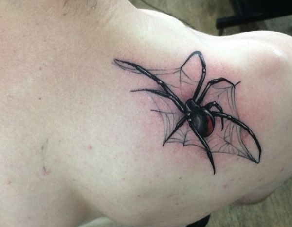 Aranha com web design na escápula