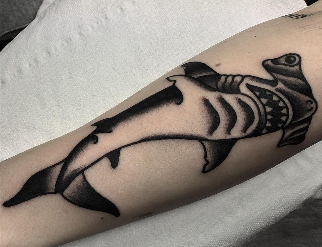Tubarão na perna 