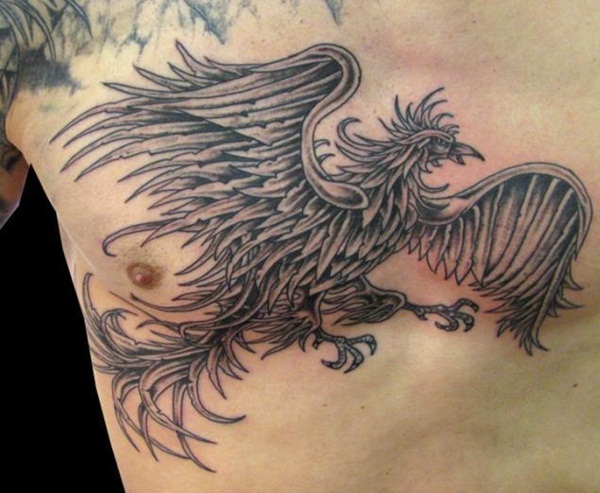 Tatuagem de Phoenix designs69 