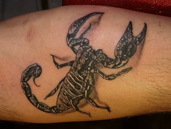 Tatuagem realista de Escorpião no antebraço 