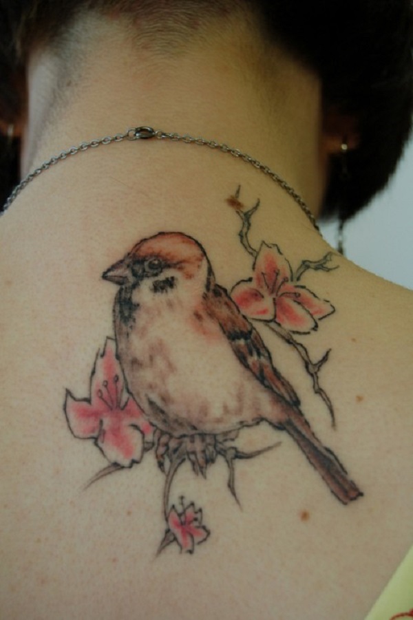 tatuagem de pássaro 18 