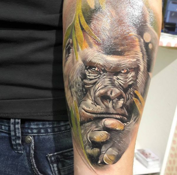 Gorilla head portrait tattoo design no braço 