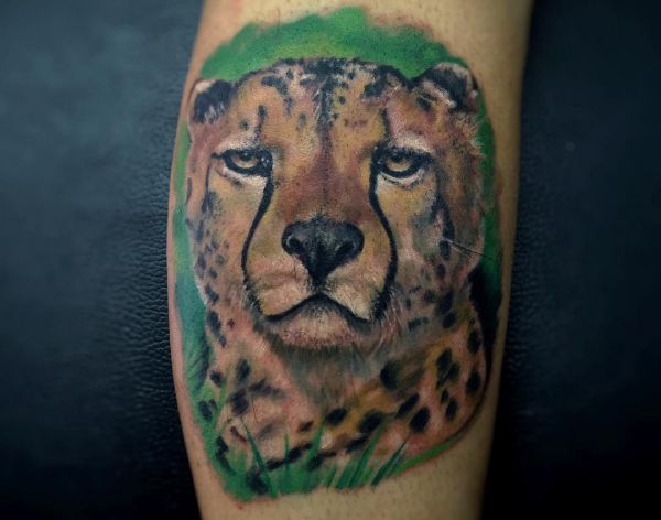Cheetah Realistic na parte inferior da perna 