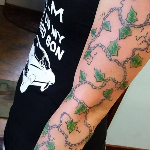 Ivy tattoo design no braço dos homens 