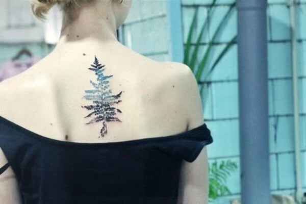 tatuagem de folhas design0591 