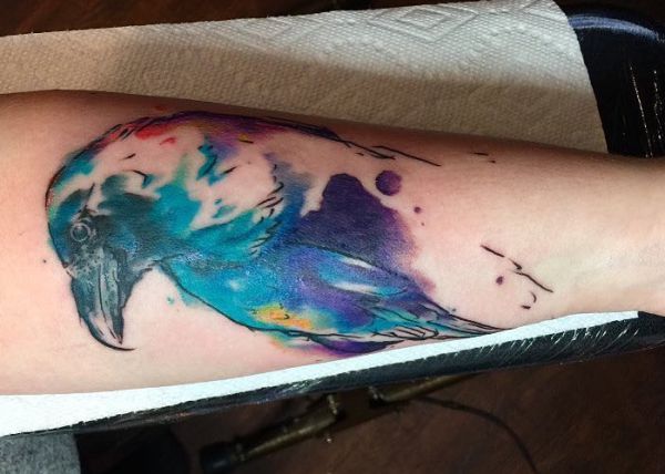 Aquarela de tatuagem de corvo no antebraço 