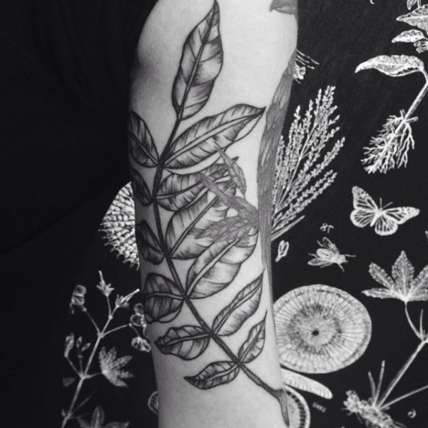 Design de tatuagem de ramos de nozes 