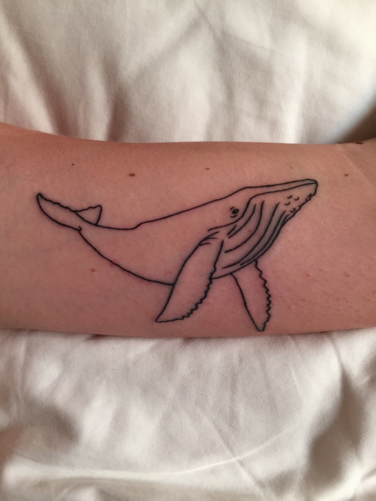 tatuagens-delicado-baleia-desenhos-estilo-moderno 