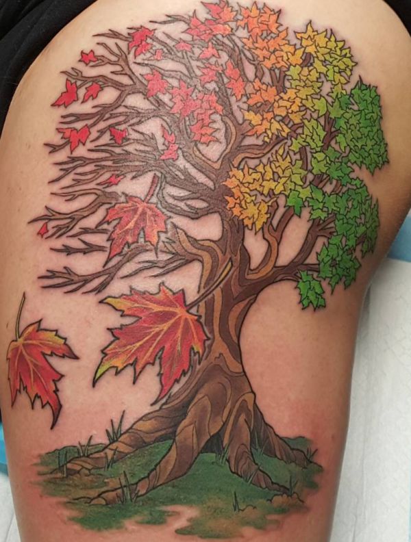 Maple tree tattoo no quadril 