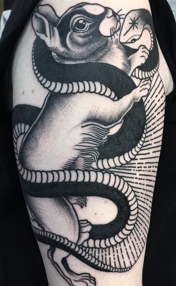 Coelho com design de cobra no braço preto 