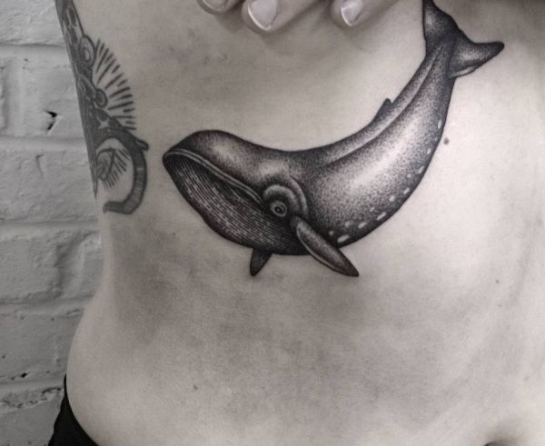 Baleia no peito preto e branco 