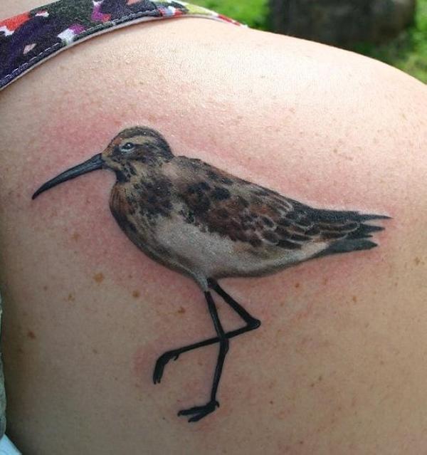 tatuagem de pássaro 17 