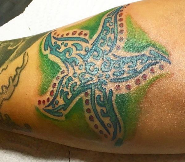 Estrela do mar na parte inferior da perna azul e verde 