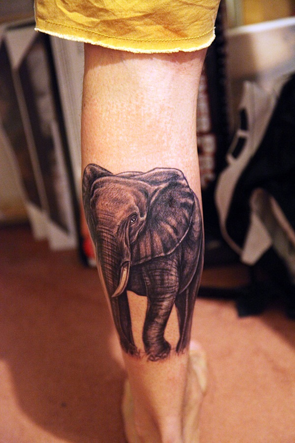 Projetos minúsculos Vectorial bonitos da tatuagem do elefante (51) 