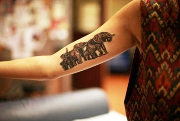 elefante-tatuagem-62 