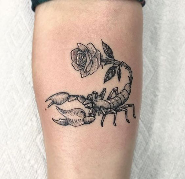 tatuagem de zodíaco de Escorpião no braço 