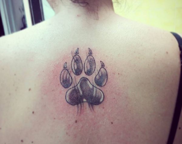 Design de tatuagem de pata de gato nas costas 