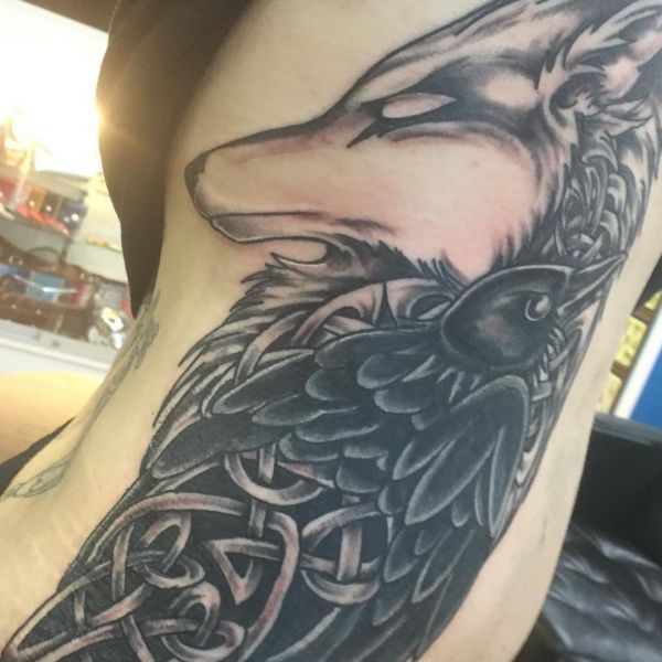 Lobo com páginas de tatuagem de corvo 