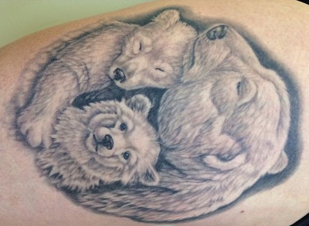 Desenho da família Urso Polar 