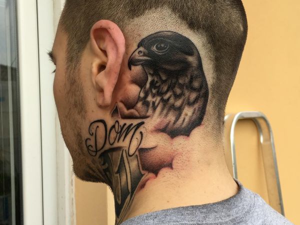 Tatuagem de falcão na cabeça e pescoço 