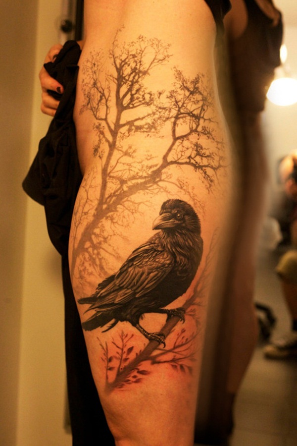 desenho de tatuagem de pássaro (63) 