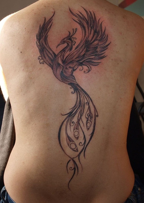 Tatuagem de Phoenix designs5 
