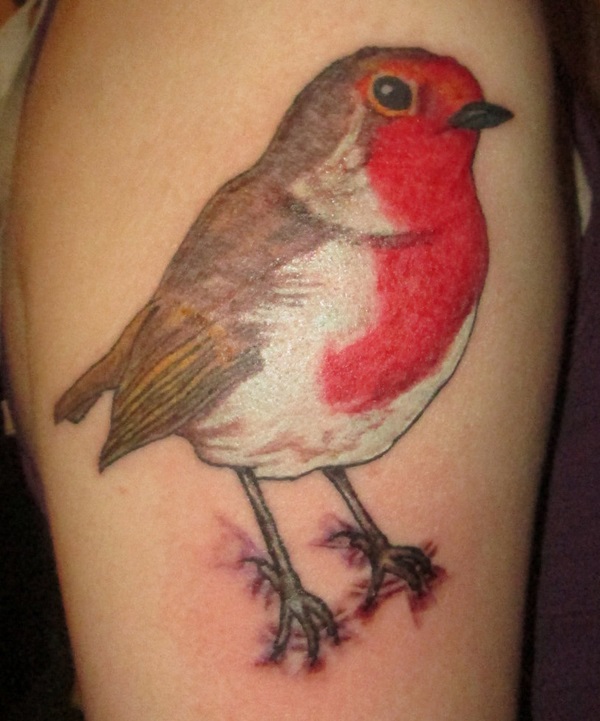 35 Cardinal Tattoo Designs e Ideias 27 