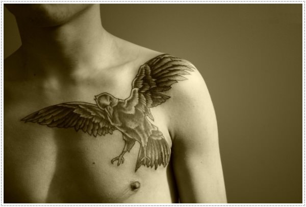 Homens de peito de tatuagens de corvo 