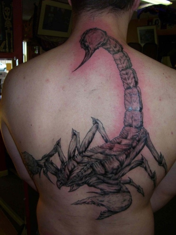35 tatuagens de escorpião sizzling e seus significados 12 