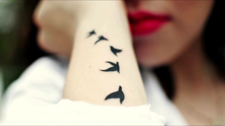 pássaros voando livre tatuados 