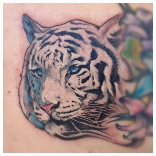 Desenhos de tatuagem de tigre branco e idéias 30 
