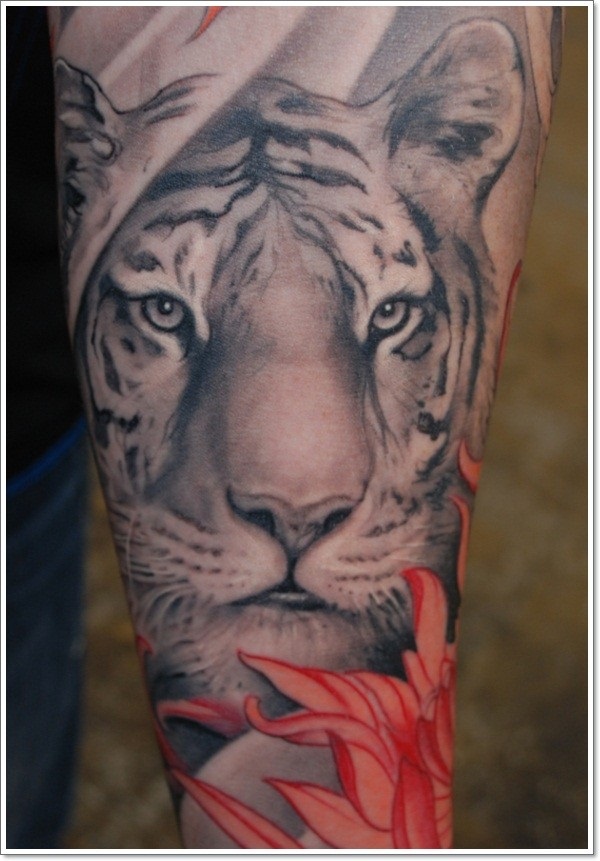 Desenhos de tatuagem de tigre branco e idéias 18 