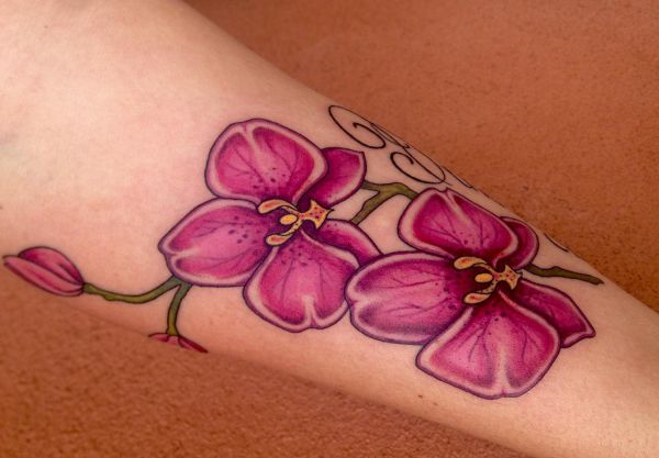 Design de tatuagem de orquídea rosa no antebraço 