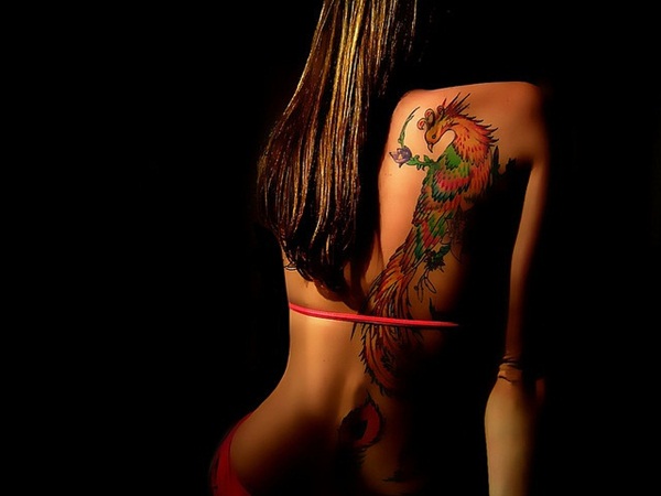 Tatuagem de Phoenix designs18 