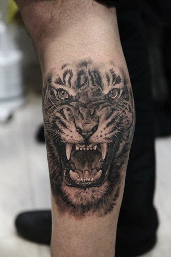 Desenhos de tatuagem de tigre branco e idéias 14 