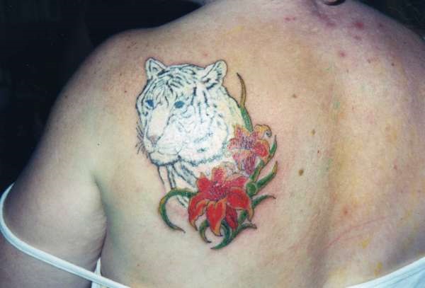 Desenhos de tatuagem de tigre branco e idéias 23 