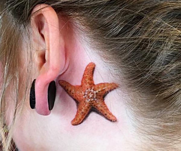 Estrela do mar 3D atrás da orelha 