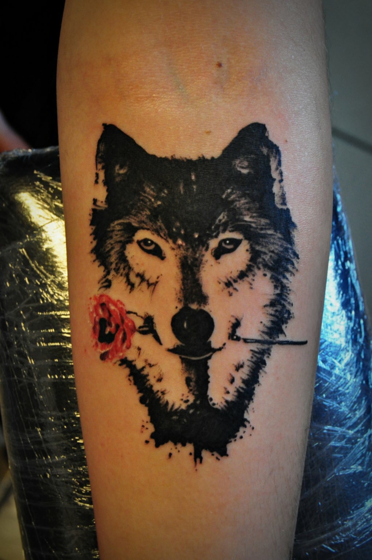 tatuagem-lobo-rosa-design-original 