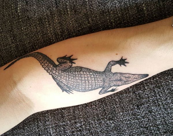 Design de tatuagem de crocodilo no antebraço 