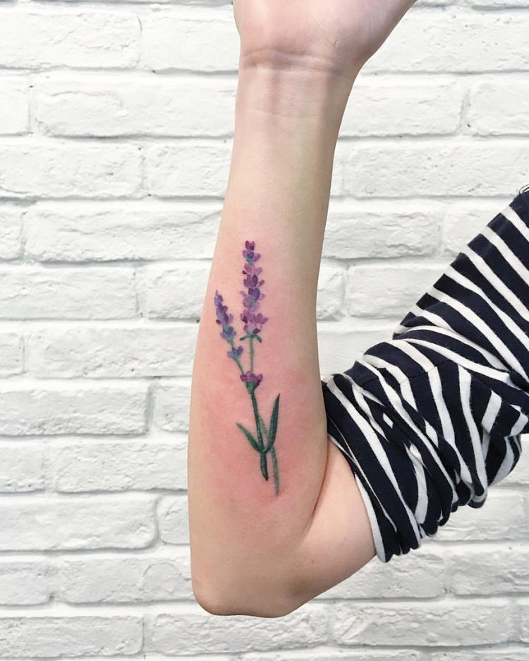 tatuagens-flores-padrões-aquarela 