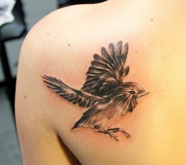 Desenhos de tatuagem de pássaro (47) 