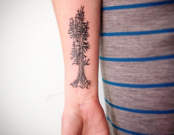 Tatuagem de árvore de incenso no pulso 