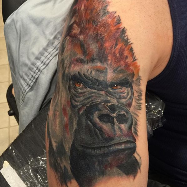 Desenho de gorila realista no braço 